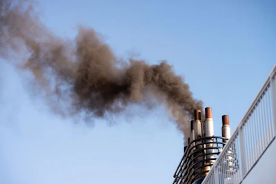 Photo: iStock/georgeclerk