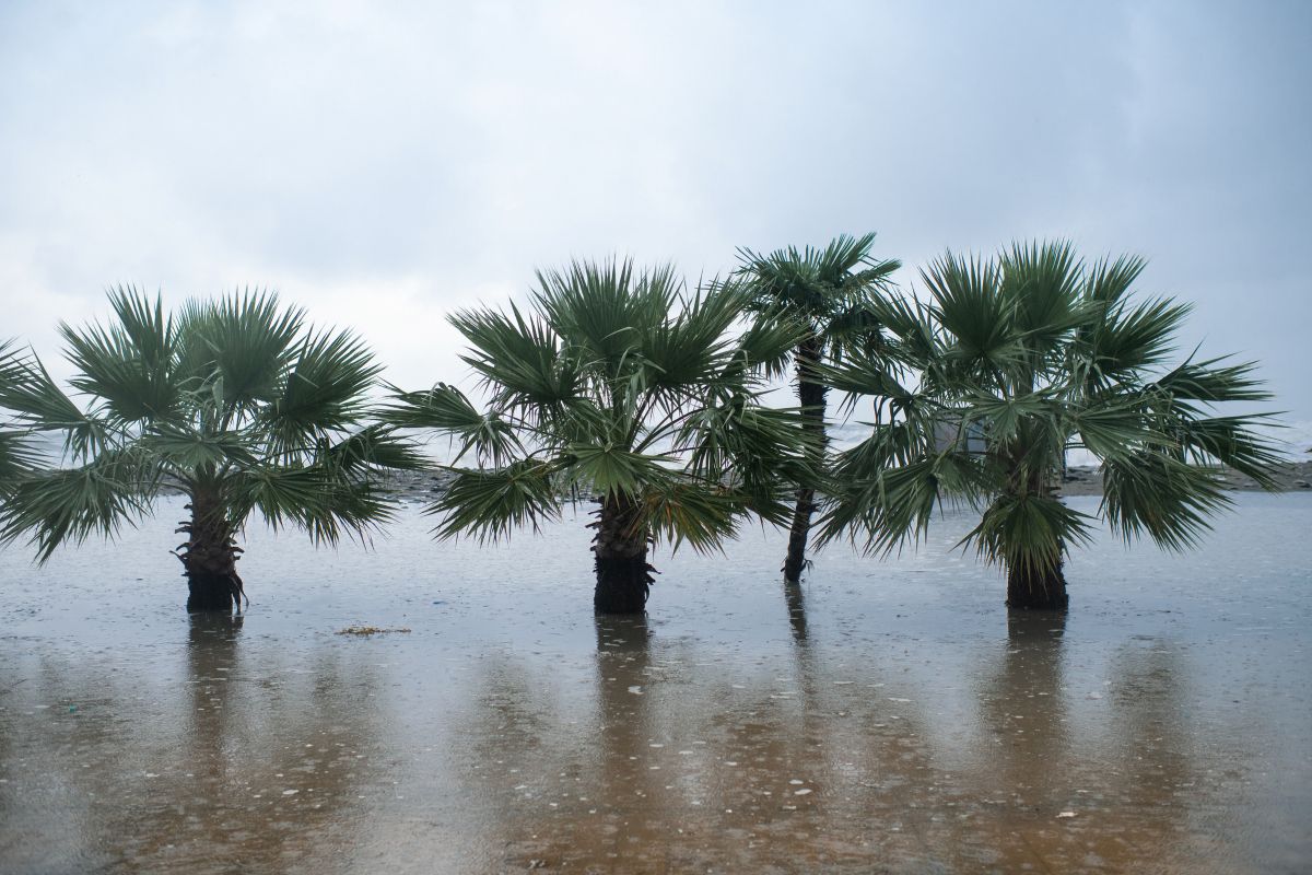Photo: iStock/ArtMarie