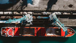 Photo: iStock / Elena Perova