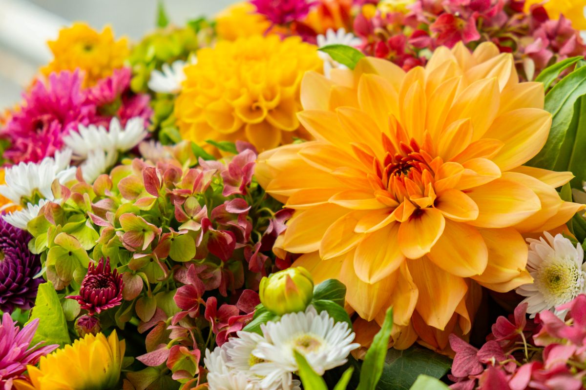 Photo: iStock/Anastasiia Yanishevska