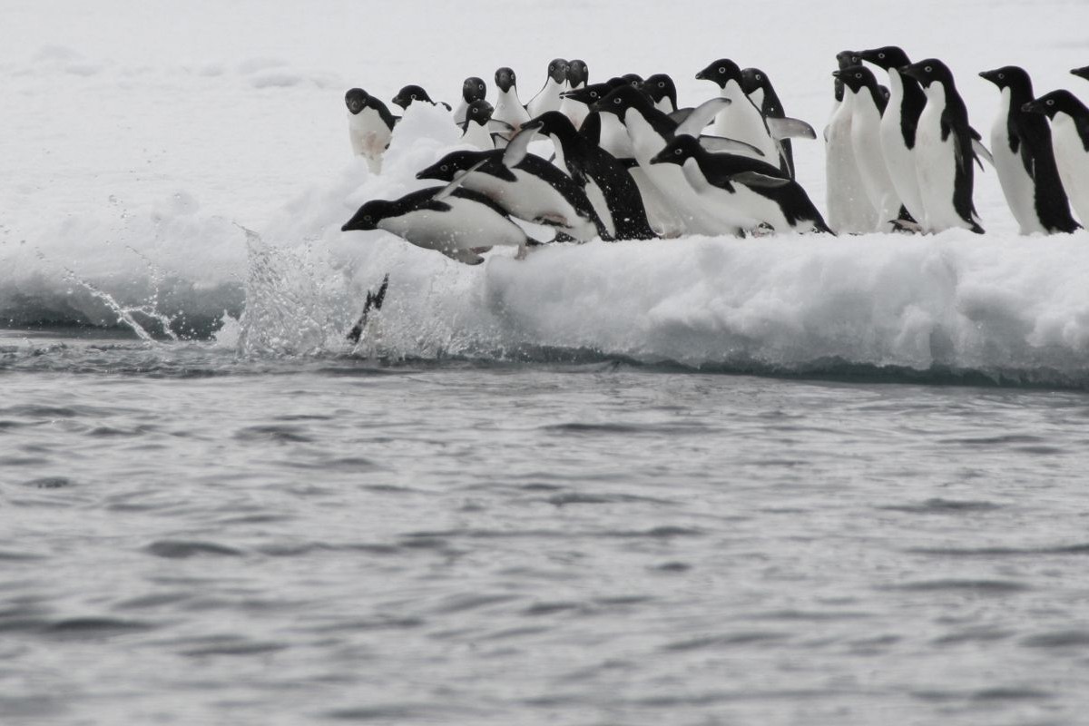 Photo: iStock/Jacynthroode