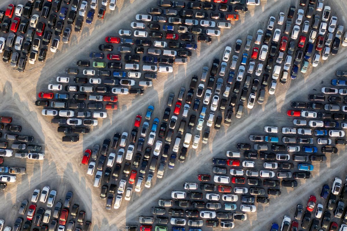 Photo: iStock/John_Lamb