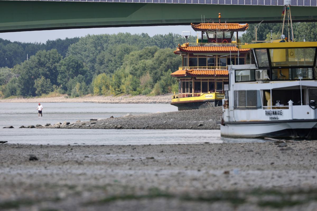 The Rhine River on July 15. Photographer: Andreas Rentz/Getty Images