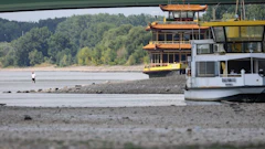 The Rhine River on July 15. Photographer: Andreas Rentz/Getty Images