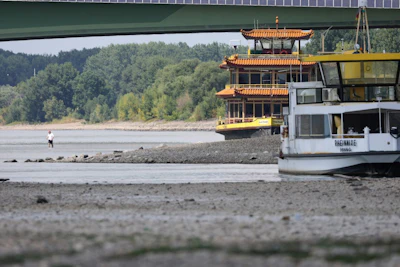The Rhine River on July 15. Photographer: Andreas Rentz/Getty Images