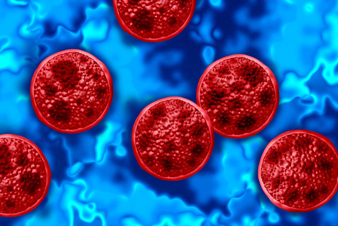 Cyclospora cayetanensis. Photo: iStock/wildpixel