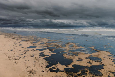 Photo: iStock/Nuture