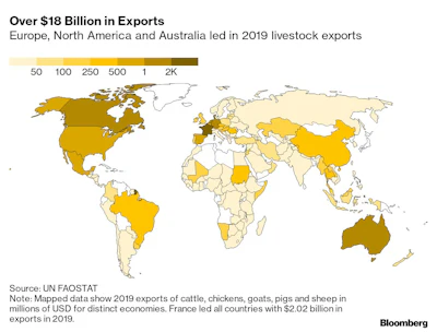 live animal exports