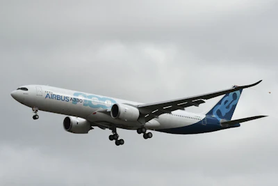 An Airbus A330neo. Photo: Bloomberg
