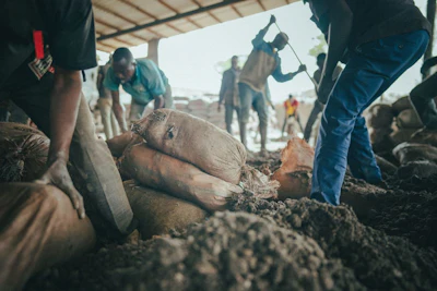 EV MINERALS Workers at a small scale mine in the Democratic Republic of the Congo complete their day-to-day tasks ASSENT.jpg