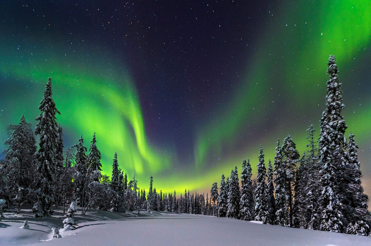 Photo: iStock/lightpix