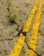 Infrastructure Art