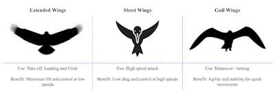 Supekar WingConfiguration.png