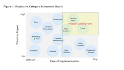 category assessment matrix