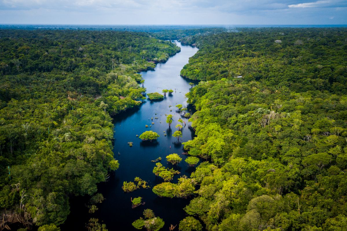 The Amazon River near Novo Airão City, Brazil. Photo: iStock/Marcio I Sa