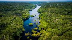 The Amazon River near Novo Airão City, Brazil. Photo: iStock/Marcio I Sa