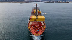 A container ship approaches the Black Sea port of Varna, Bulgaria. Photo: iStock/sandsun