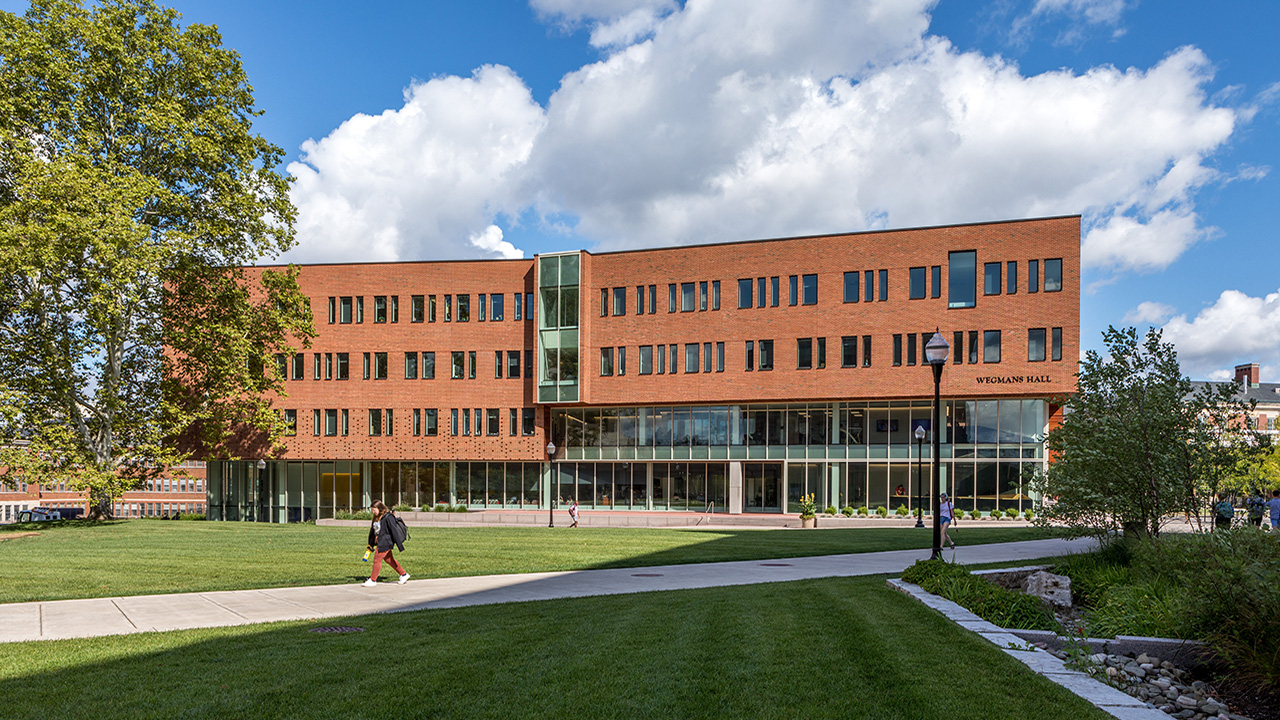 Building blocks for knowledge: Why bricks are the future in college ...