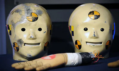 Cadavers (not Shown) Can Provide Results That Crash Test Dummies Simply Cannot
