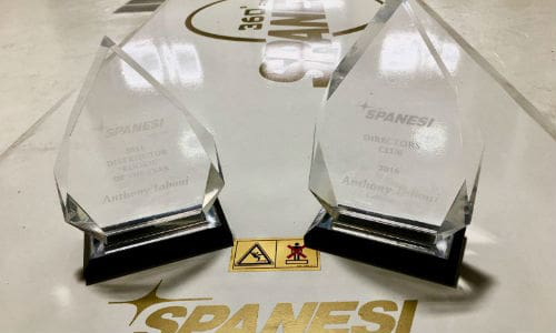 The awards are for 'Rookie' Distributor of the Year and the Spanesi Director's Club.