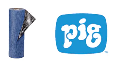 images_NEWPIG