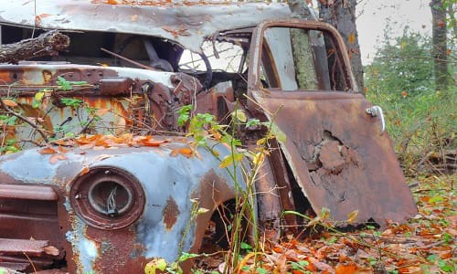 images_car_with_plants