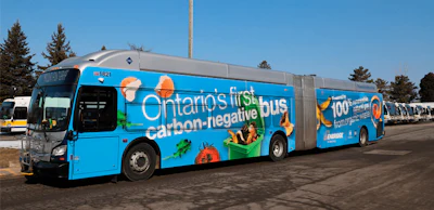 bus