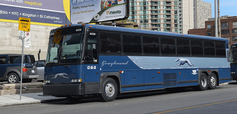 greyhound