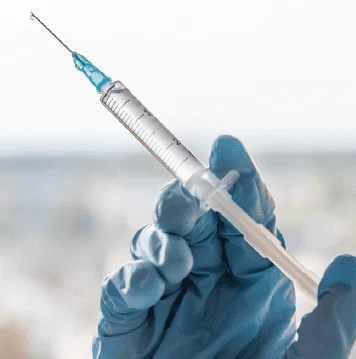 Needle