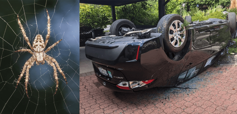 spideysenses