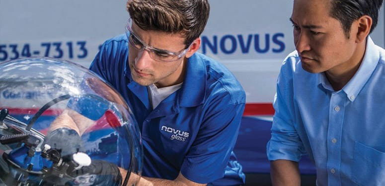 novus