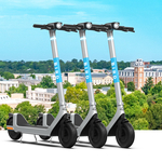 Bird_U_Campus_Ambassador_-_2x