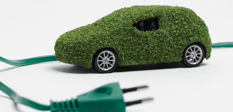hedge car