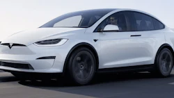 Model-X-Social . jpg