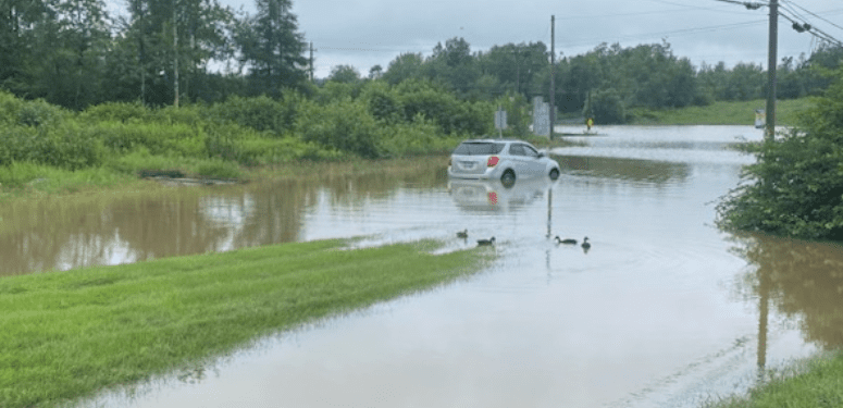 NSFloods