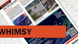 NIBS_sitegraphicsBW4 whimsy