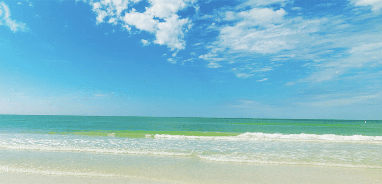 florida water img