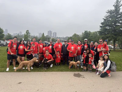 Carstar Hamilton Lc Group And Torcam Group