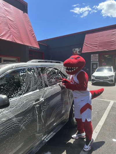 Image00070 Scaled