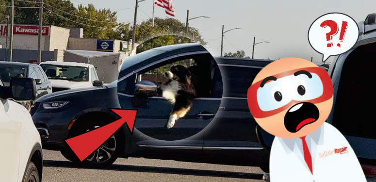 CYBT_Sept27_2024-thumbnails-775&times;375