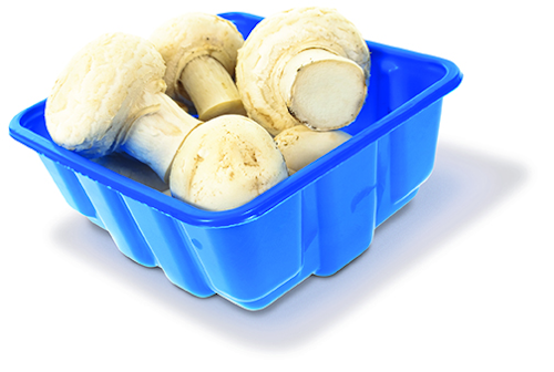 Pw 68705 Mushroomtill 72dpi