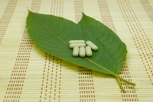 Kratom / Image: Shutterstock