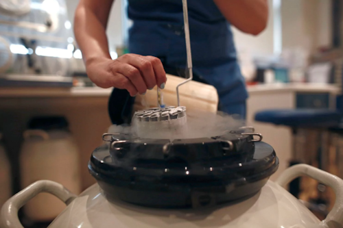 Fertility Clinic / Image: Bloomberg