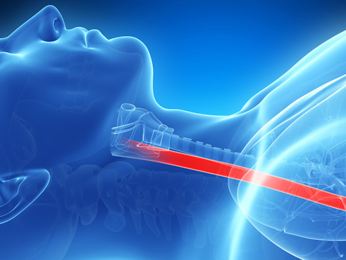 Esophagus / Image: Future Timeline