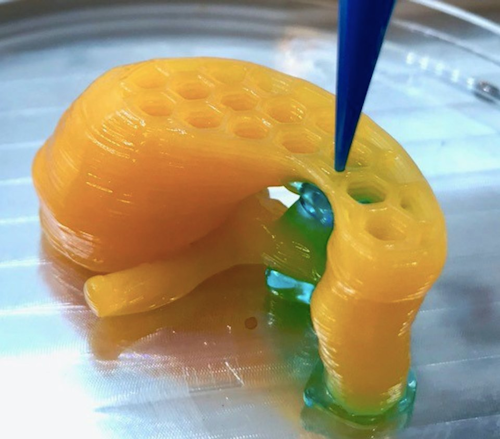 3D Printed Organ / Image: Cellink