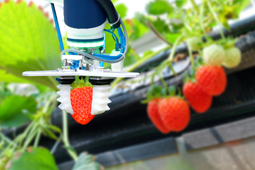 With a Nation-Wide Labor Shortage, Industrial Robots can Deliver Results, but Justifying ROI is Still Biggest Challenge