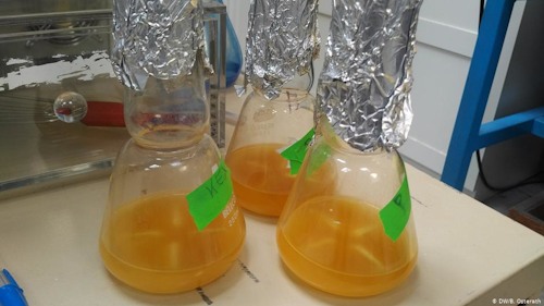 DIY Insulin / Image: DW