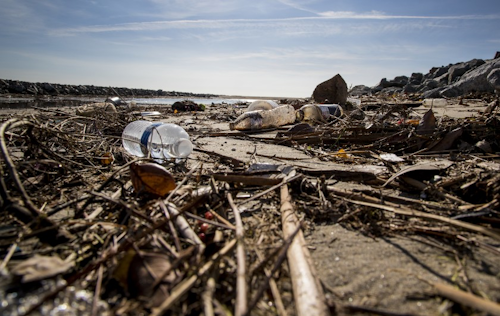 Single-Use Plastics / Image; Gina Ferazzi