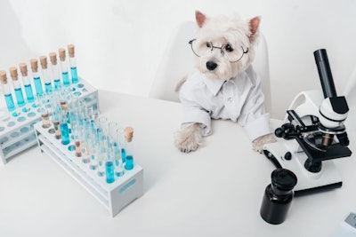 Dog Scientist Lab Microscope Laboratory 213926347