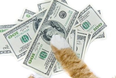 Cat Paw On Money